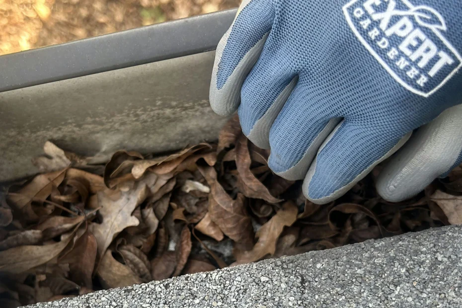 Gutter Cleaning Lawrenceburg